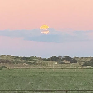 Meet your Posher, Karla